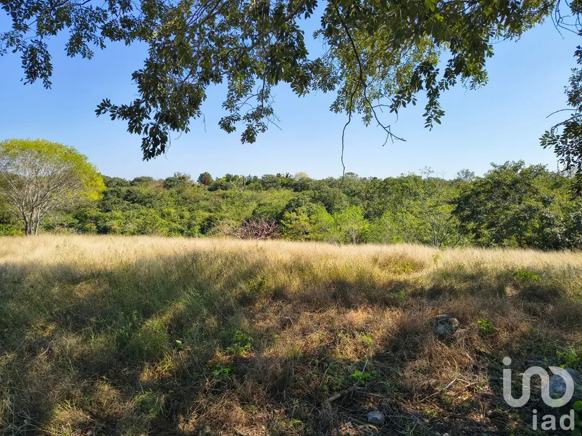 Terreno en Venta en Villa Emiliano Zapata (El Carrizal), Emiliano Zapata, Veracruz de Ignacio de la Llave | NEX-261773 | iad México | Foto 9 de 19