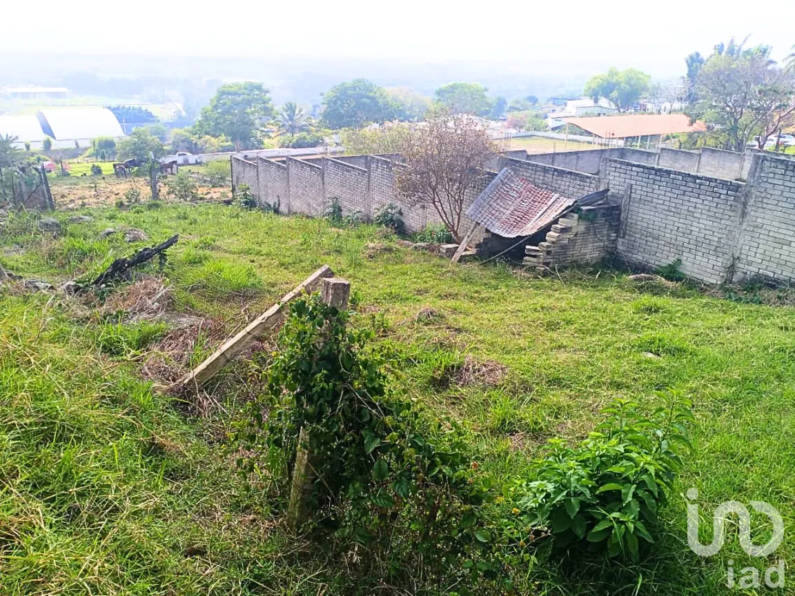 Terreno en Venta en El Lencero, Emiliano Zapata, Veracruz de Ignacio de la Llave | NEX-283842 | iad México | Foto 5 de 8