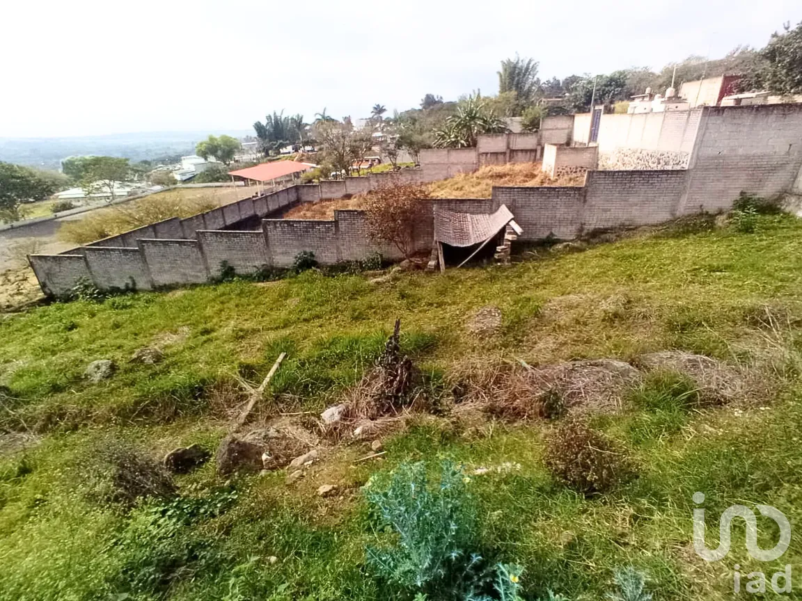 Terreno en Venta en El Lencero, Emiliano Zapata, Veracruz de Ignacio de la Llave | NEX-283842 | iad México | Foto 6 de 8