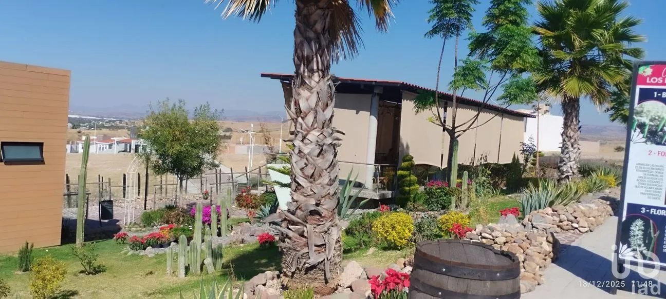 Terreno en Venta en Los Infantes, Silao de la Victoria, Guanajuato | NEX-266311 | iad México | Foto 3 de 6