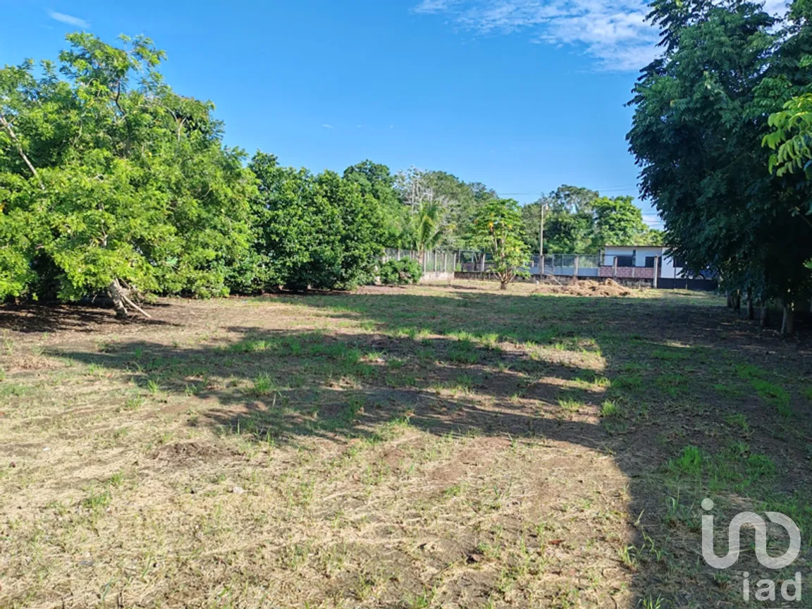 Terreno en Venta en Tlalixcoyan, Tlalixcoyan, Veracruz de Ignacio de la Llave | NEX-266219 | iad México | Foto 10 de 10