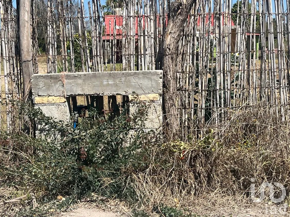Terreno en Venta en Precursores, Rioverde, San Luis Potosí | NEX-290125 | iad México | Foto 4 de 11