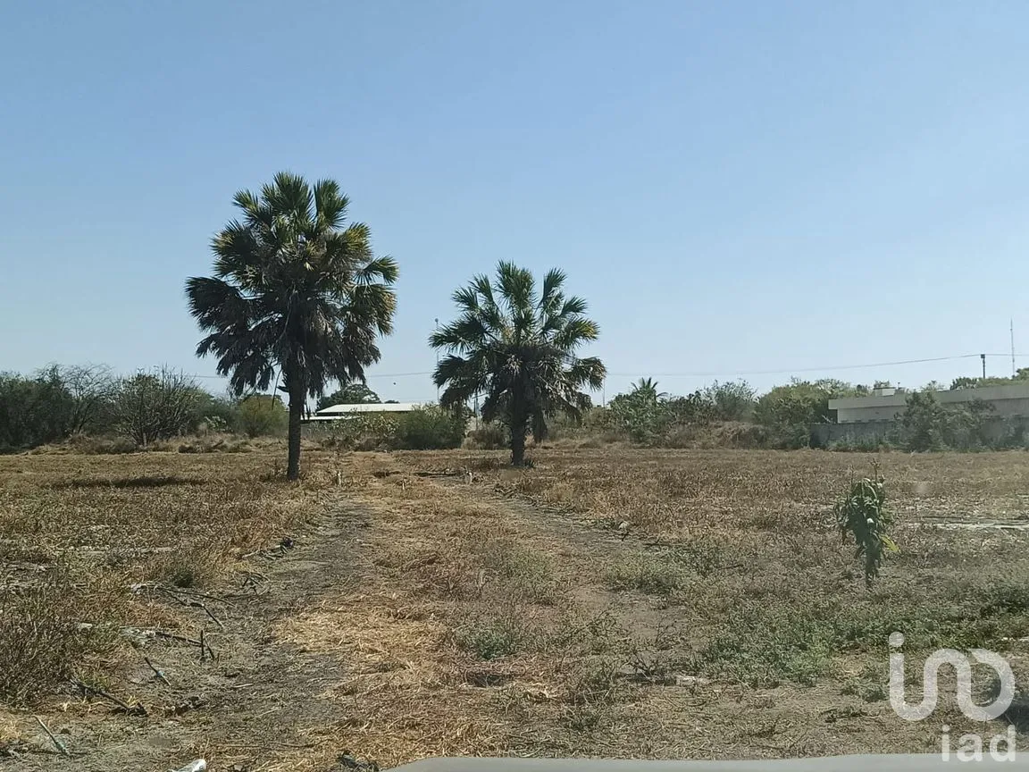 Terreno en Venta en Precursores, Rioverde, San Luis Potosí | NEX-290125 | iad México | Foto 7 de 11