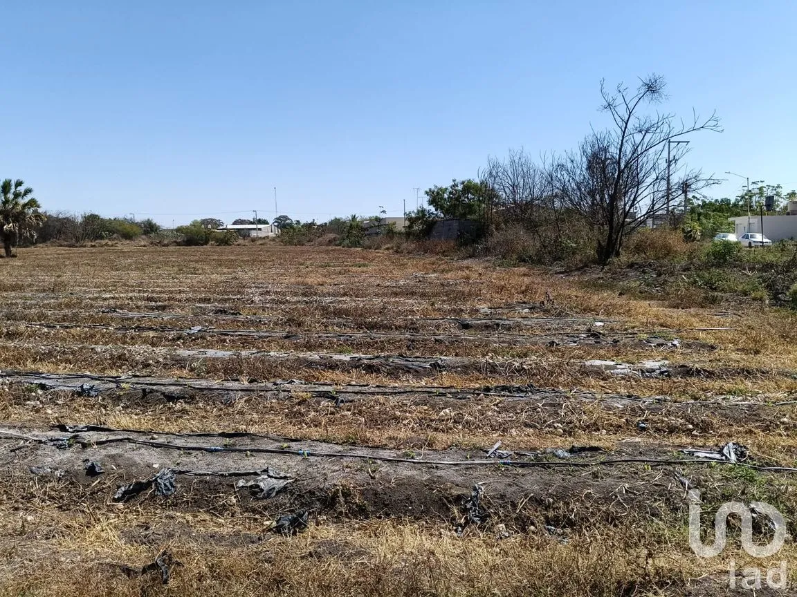 Terreno en Venta en Precursores, Rioverde, San Luis Potosí | NEX-290125 | iad México | Foto 9 de 11
