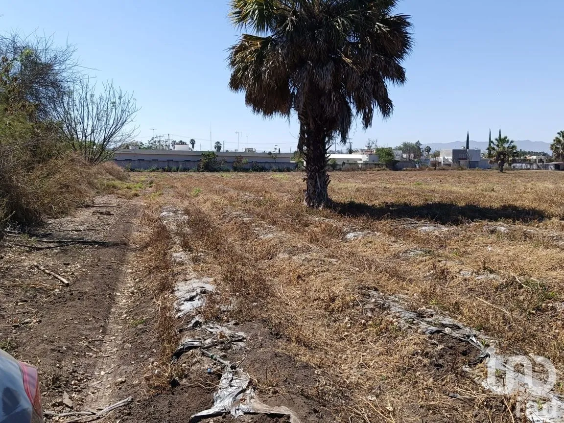 Terreno en Venta en Precursores, Rioverde, San Luis Potosí | NEX-290125 | iad México | Foto 10 de 11