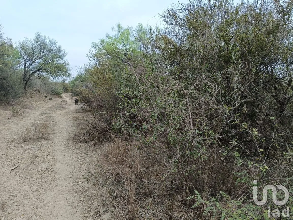 Terreno en Venta en Fundadores (Centenario), Marín, Nuevo León | NEX-266735 | iad México | Foto 12 de 12