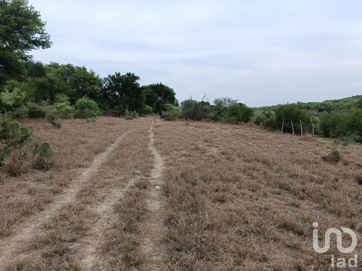 Terreno en Venta en Fundadores (Centenario), Marín, Nuevo León | NEX-266735 | iad México | Foto 3 de 12