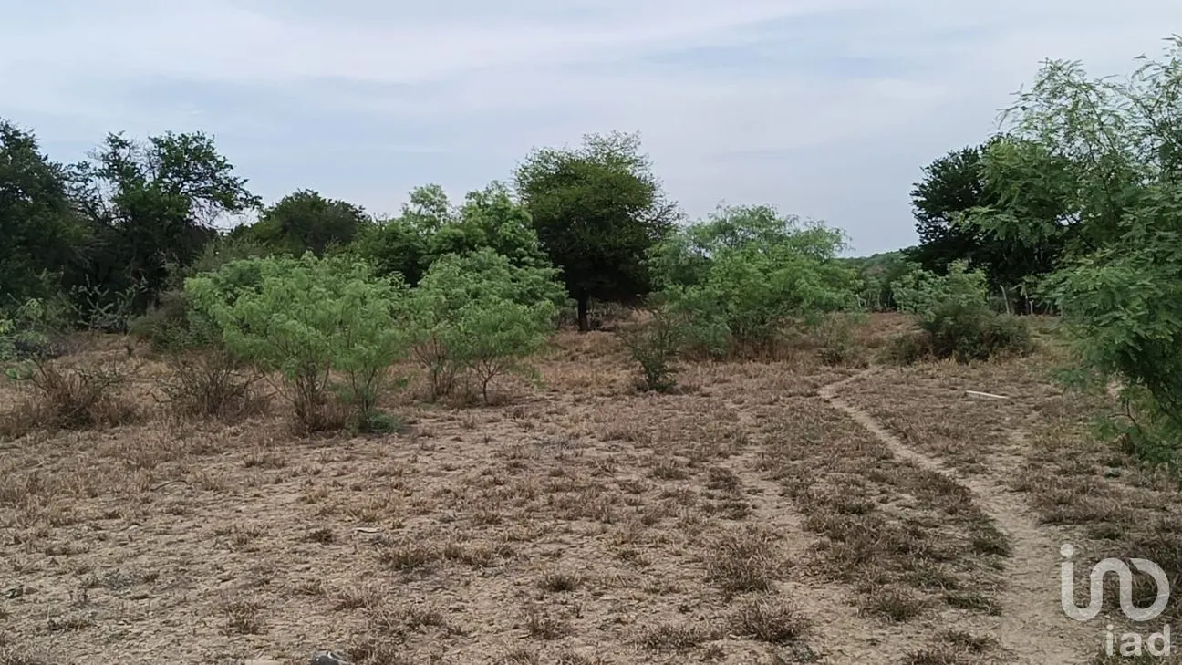 Terreno en Venta en Fundadores (Centenario), Marín, Nuevo León | NEX-266735 | iad México | Foto 4 de 12