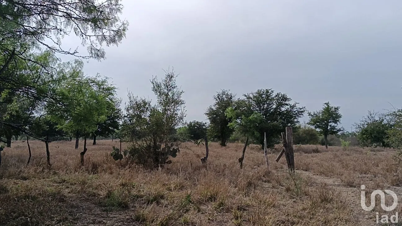 Terreno en Venta en Fundadores (Centenario), Marín, Nuevo León | NEX-266735 | iad México | Foto 6 de 12