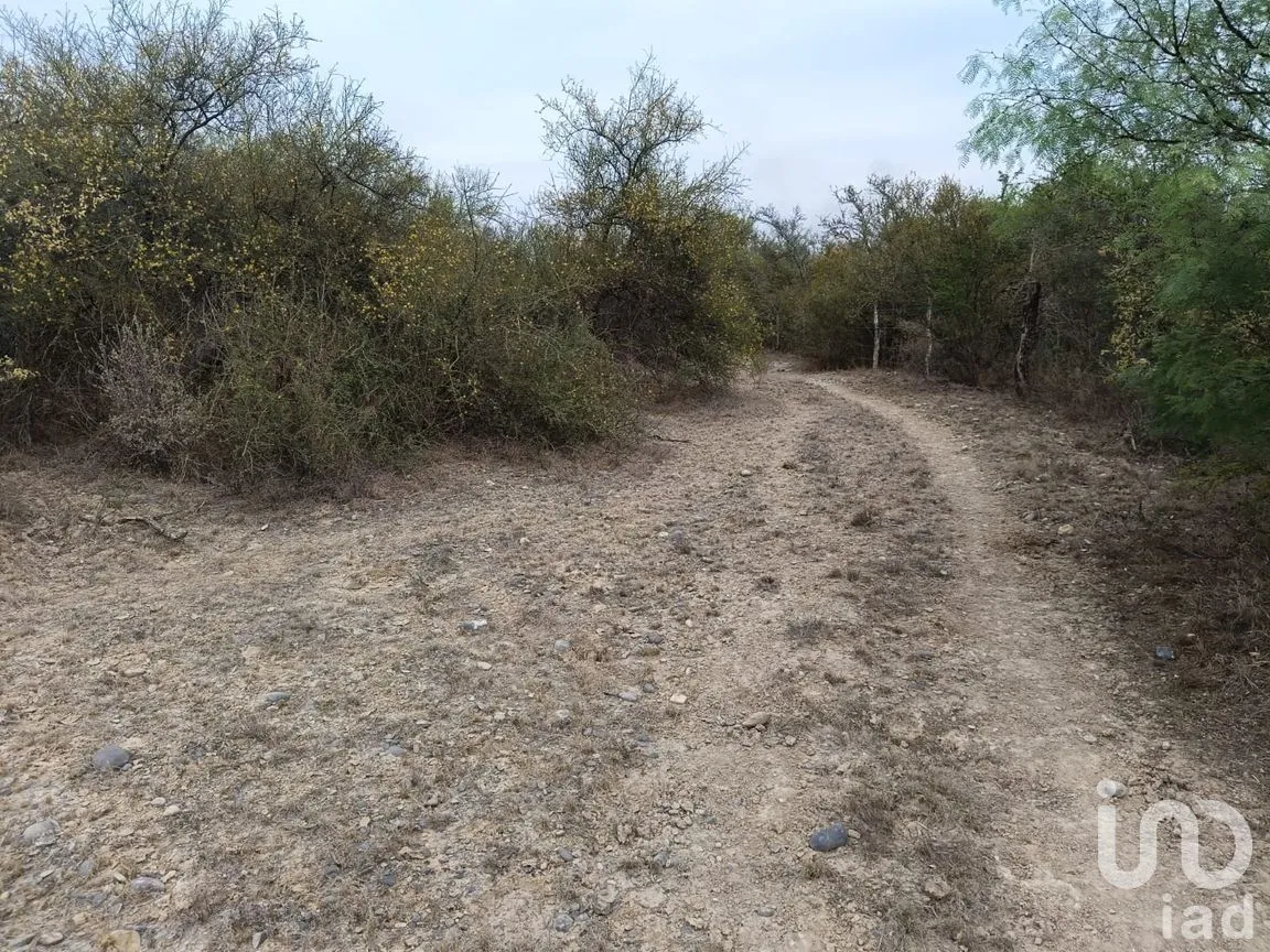 Terreno en Venta en Fundadores (Centenario), Marín, Nuevo León | NEX-266735 | iad México | Foto 9 de 12