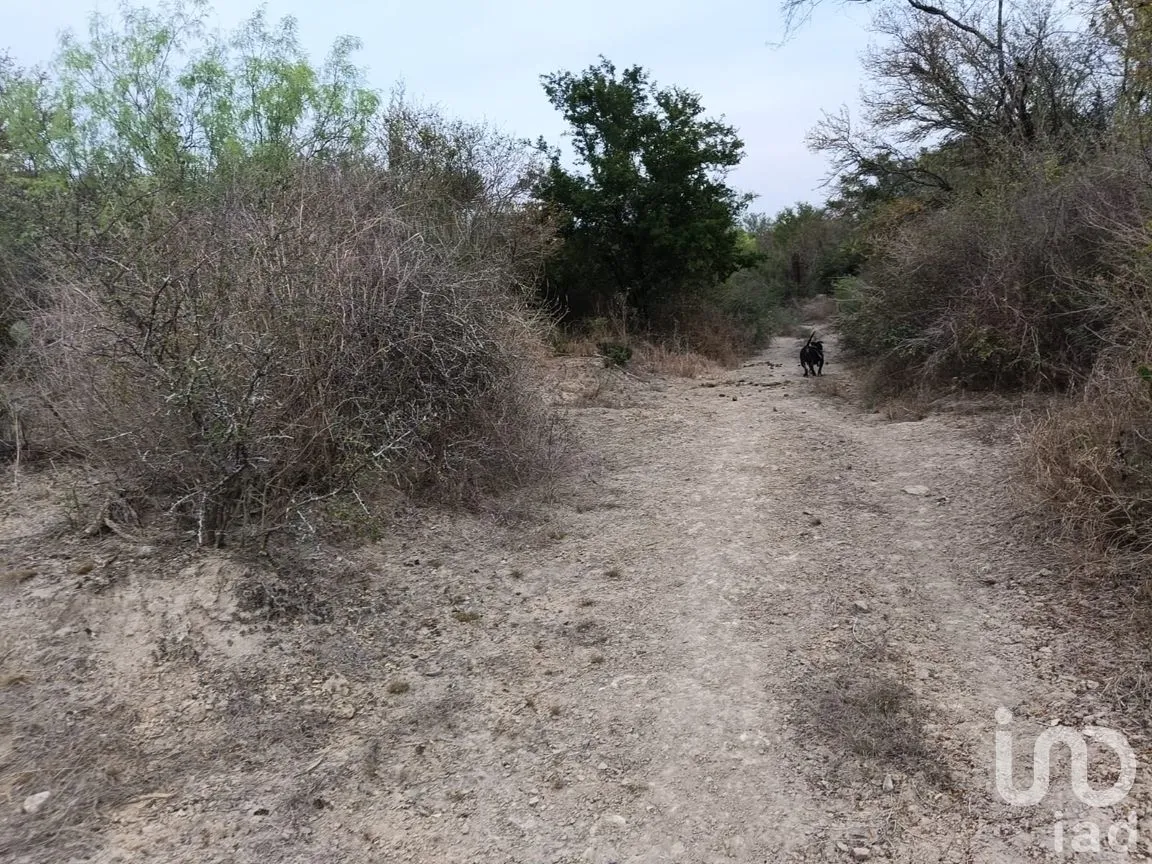 Terreno en Venta en Fundadores (Centenario), Marín, Nuevo León | NEX-266735 | iad México | Foto 10 de 12