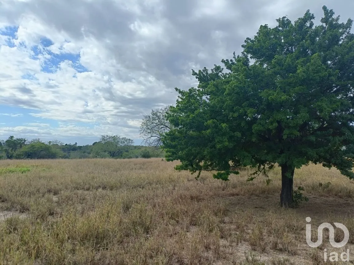 Terreno en Venta en Fundadores (Centenario), Marín, Nuevo León | NEX-266735 | iad México | Foto 1 de 12