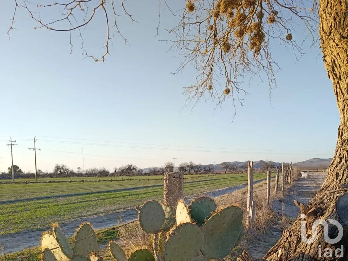 Terreno en Venta en Cedral Centro, Cedral, San Luis Potosí | NEX-294428 | iad México | Foto 1 de 6
