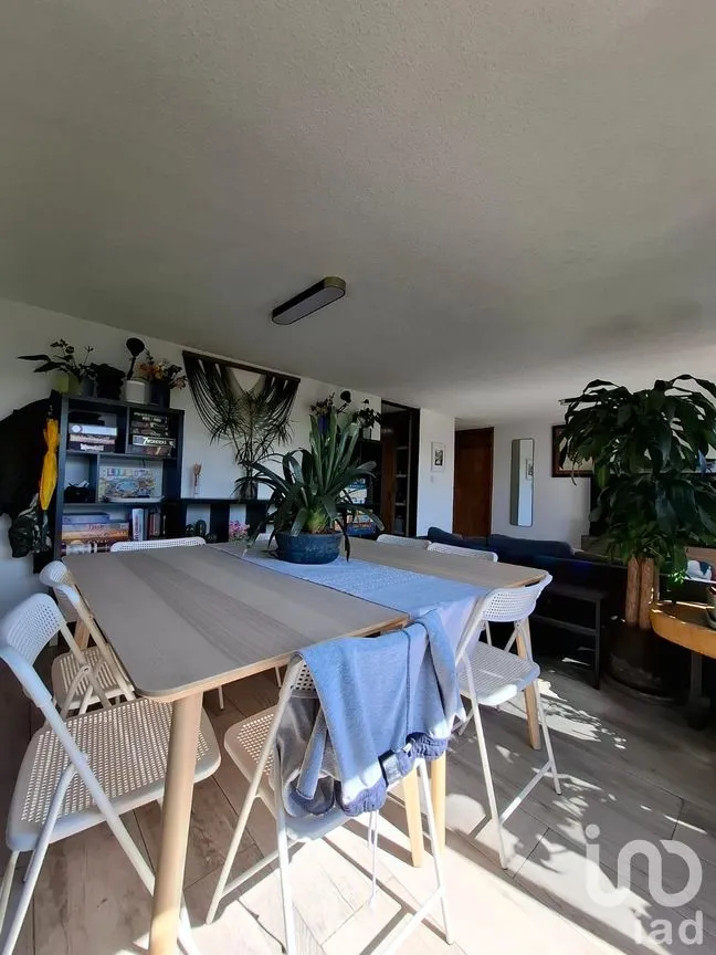 Departamento en Venta en Roma Norte, Cuauhtémoc, Ciudad de México | NEX-276548 | iad México | Foto 2 de 22
