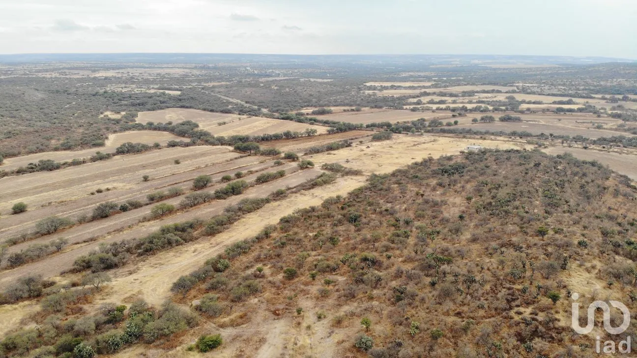 Terreno en Venta en Borrotes, San Francisco de los Romo, Aguascalientes | NEX-265322 | iad México | Foto 3 de 3