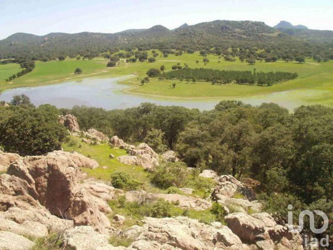Terreno en Venta en El Garruño, Calvillo, Aguascalientes | NEX-283686 | iad México | Foto 8 de 15
