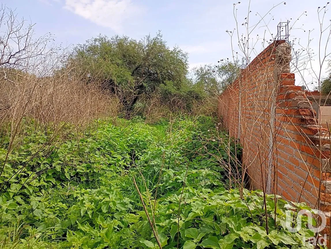 Terreno en Venta en Villa Licenciado Jesús Terán (Calvillito), Aguascalientes, Aguascalientes | NEX-284594 | iad México | Foto 3 de 5