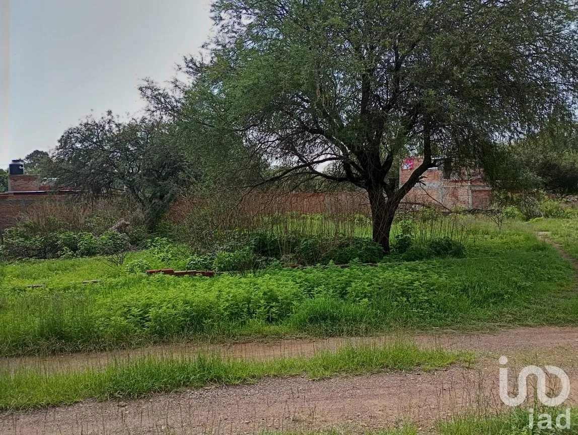 Terreno en Venta en Villa Licenciado Jesús Terán (Calvillito), Aguascalientes, Aguascalientes | NEX-284594 | iad México | Foto 5 de 5