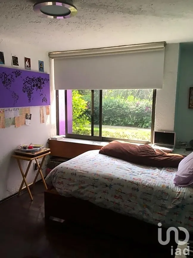 Casa en Venta en Lomas de Bezares, Miguel Hidalgo, Ciudad de México | NEX-270052 | iad México | Foto 15 de 17