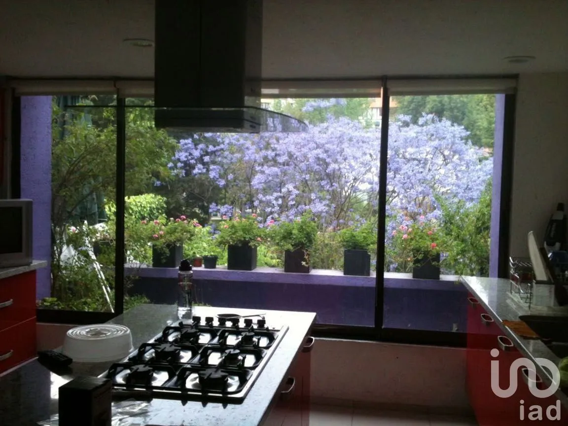 Casa en Venta en Lomas de Bezares, Miguel Hidalgo, Ciudad de México | NEX-270052 | iad México | Foto 3 de 17