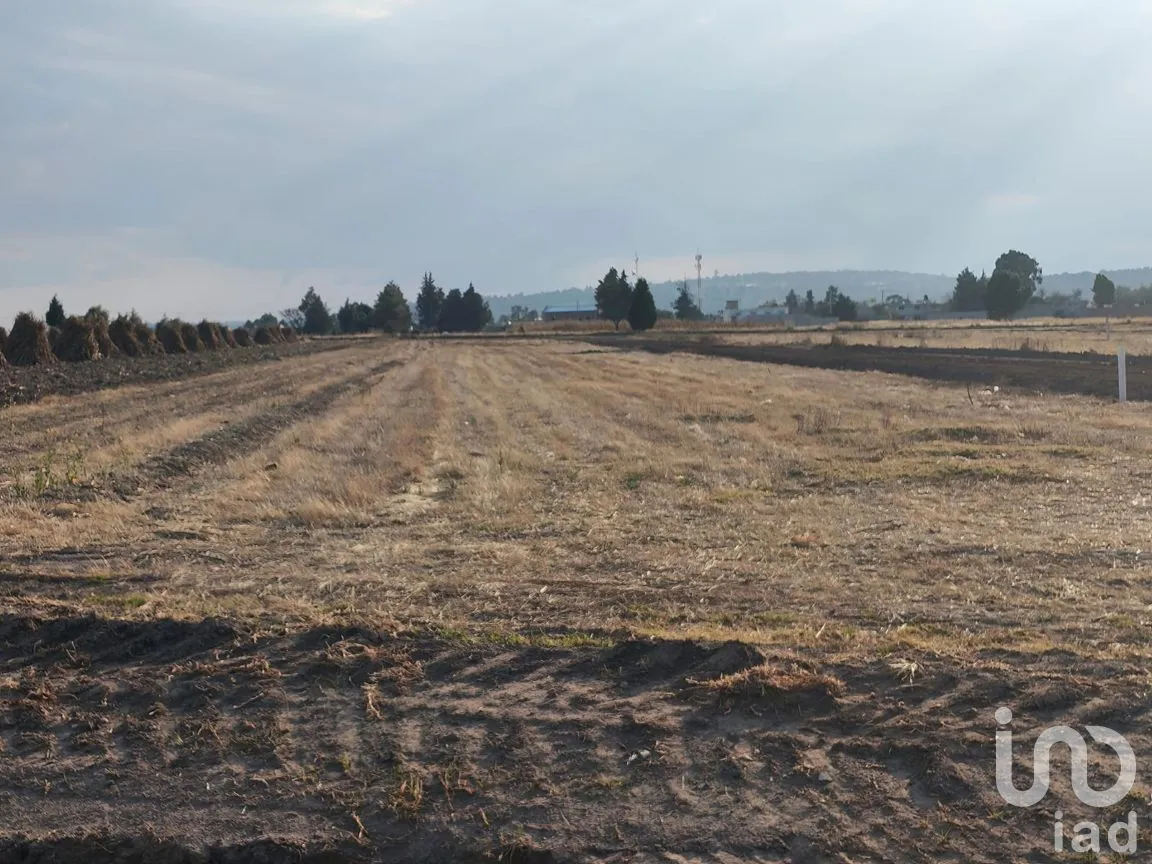 Terreno en Venta en Muñoz, Muñoz de Domingo Arenas, Tlaxcala | NEX-284061 | iad México | Foto 5 de 6