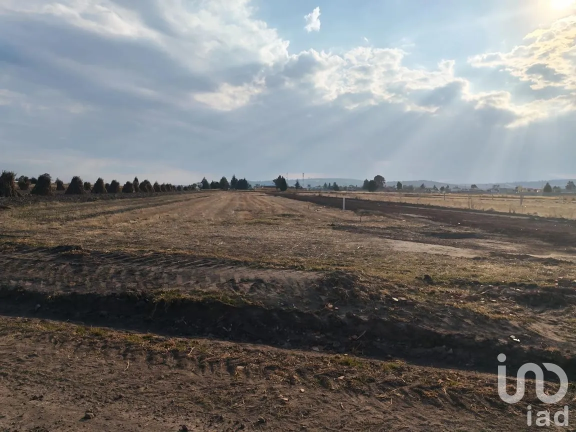 Terreno en Venta en Muñoz, Muñoz de Domingo Arenas, Tlaxcala | NEX-284061 | iad México | Foto 6 de 6