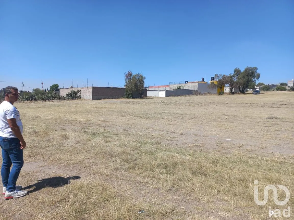 Terreno en Venta en Santa Ana Tlachihualpa, Temascalapa, México | NEX-292846 | iad México | Foto 11 de 11