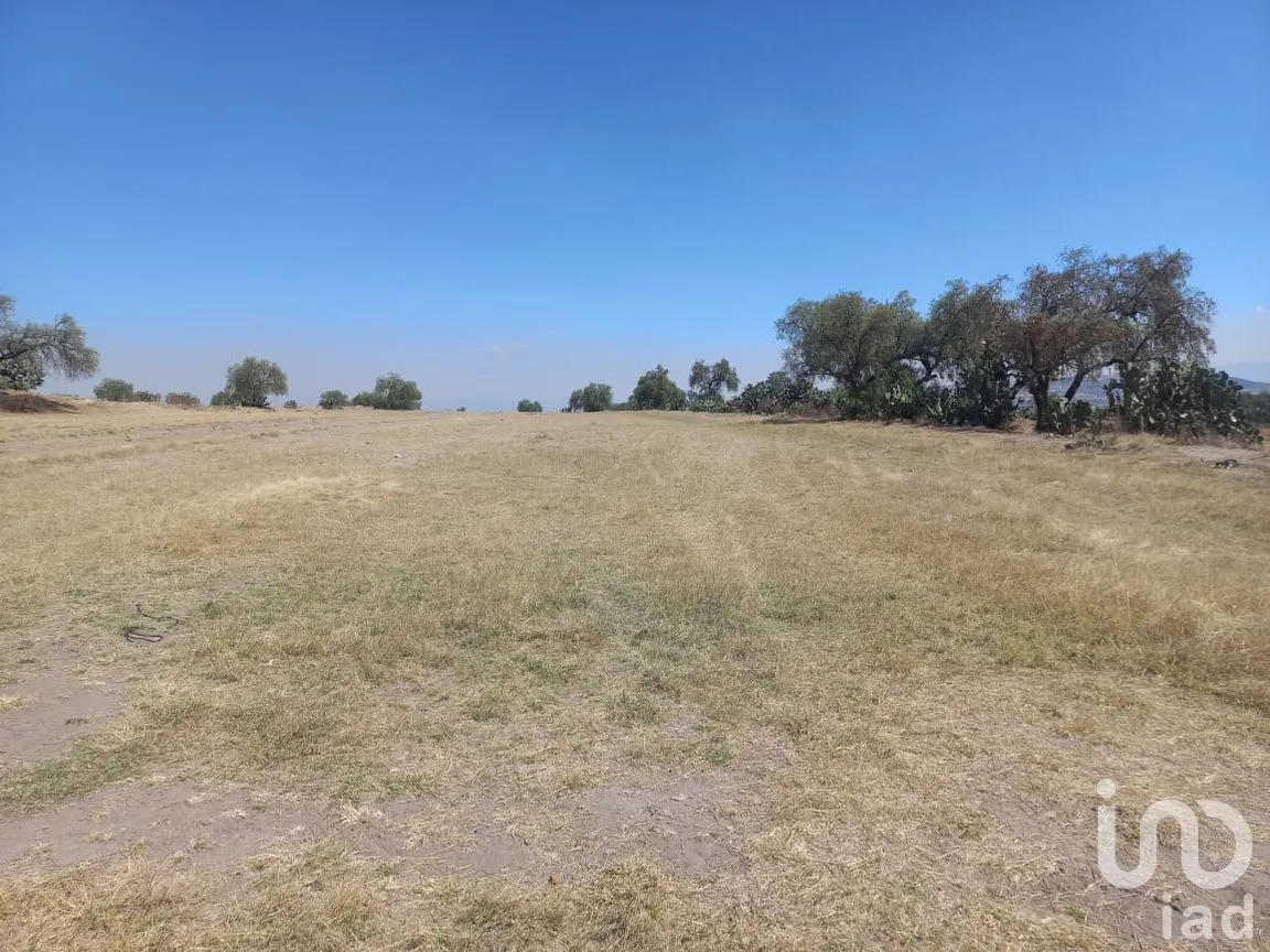 Terreno en Venta en Santa Ana Tlachihualpa, Temascalapa, México | NEX-292846 | iad México | Foto 4 de 11