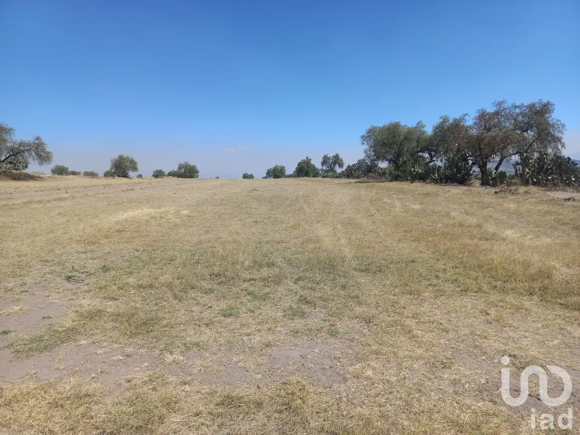 Terreno en Venta en Santa Ana Tlachihualpa, Temascalapa, México | NEX-292846 | iad México | Foto 5 de 11