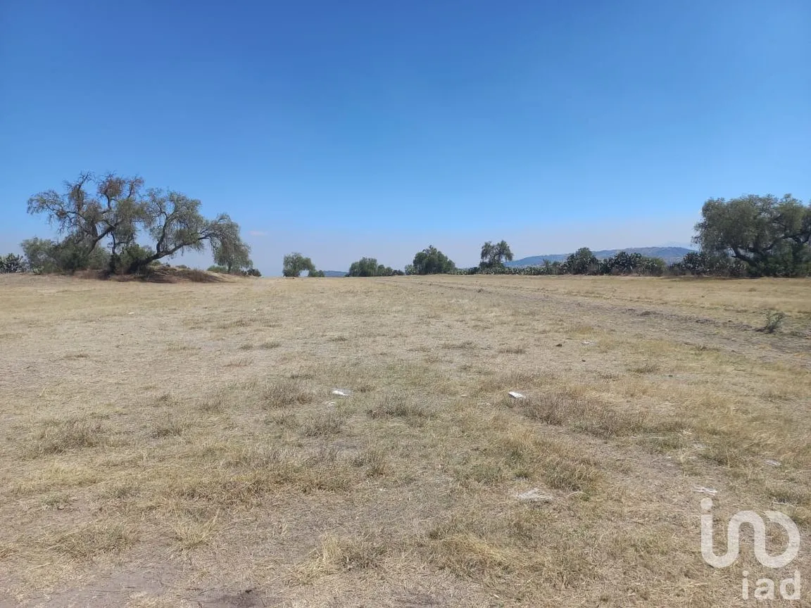 Terreno en Venta en Santa Ana Tlachihualpa, Temascalapa, México | NEX-292846 | iad México | Foto 6 de 11