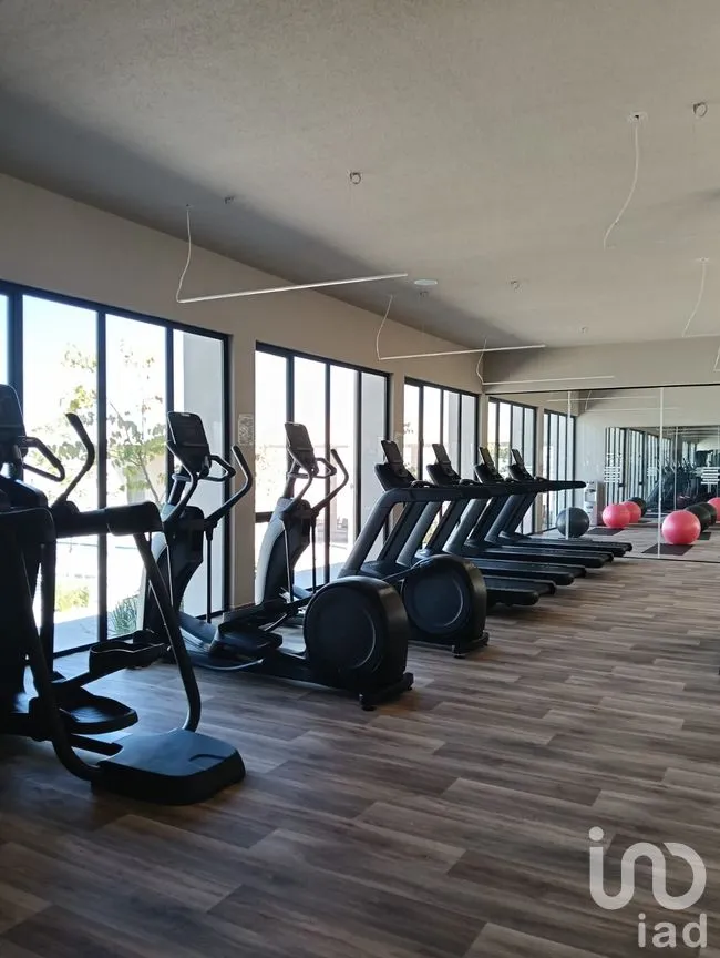 Departamento en Renta en Zibatá, El Marqués, Querétaro | NEX-263799 | iad México | Foto 9 de 18