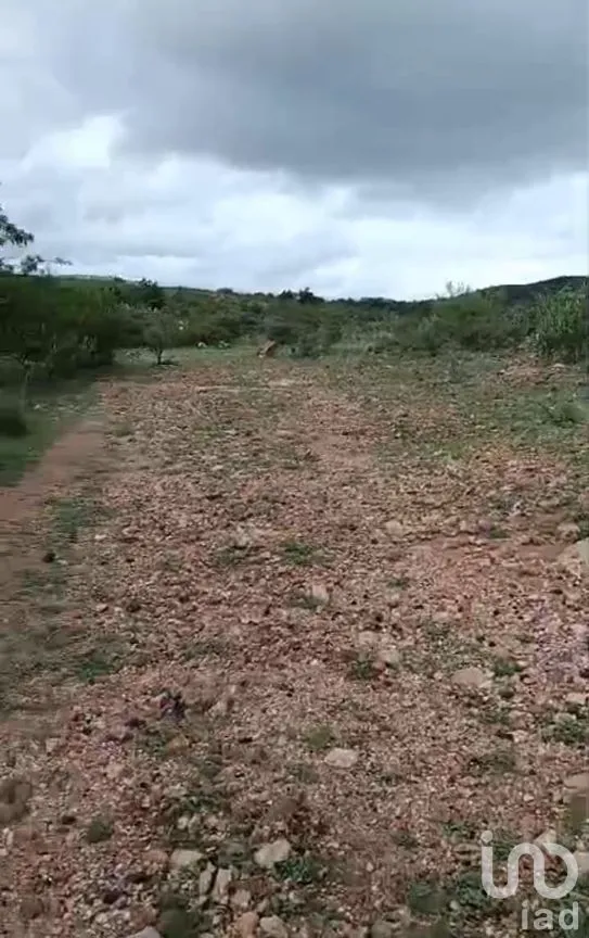 Terreno en Venta en Ajuchitlán, Colón, Querétaro | NEX-285845 | iad México | Foto 4 de 9