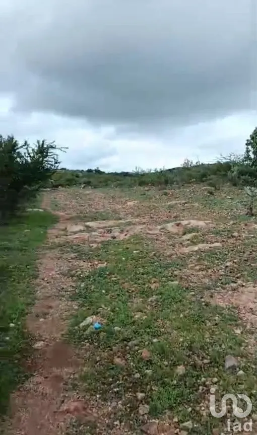 Terreno en Venta en Ajuchitlán, Colón, Querétaro | NEX-285845 | iad México | Foto 5 de 9
