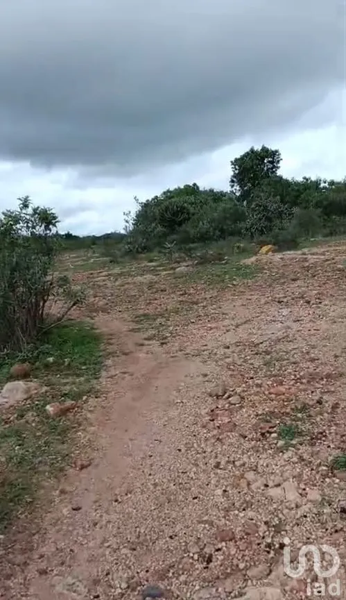 Terreno en Venta en Ajuchitlán, Colón, Querétaro | NEX-285845 | iad México | Foto 6 de 9
