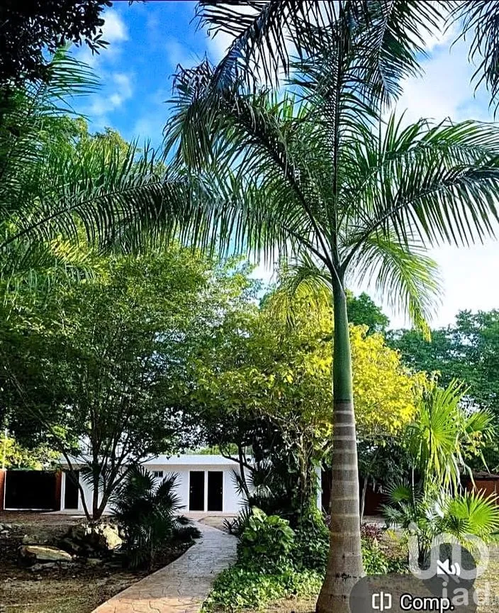 Terreno en Venta en Cholul, Mérida, Yucatán | NEX-291819 | iad México | Foto 16 de 20