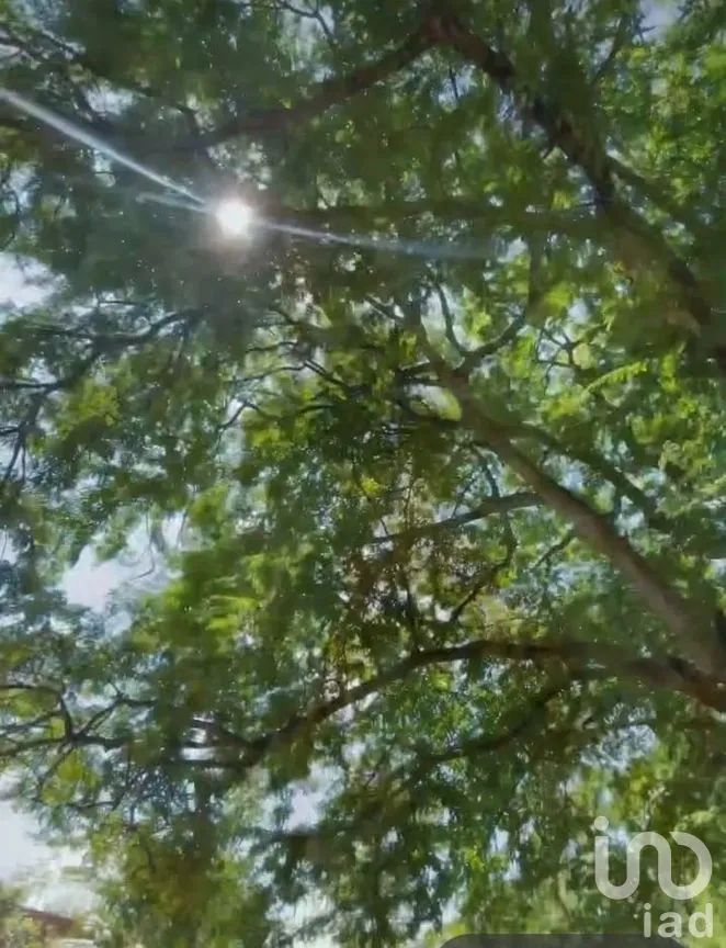 Terreno en Venta en Cholul, Mérida, Yucatán | NEX-291819 | iad México | Foto 5 de 20