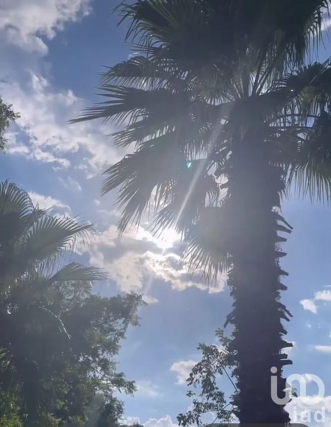 Terreno en Venta en Cholul, Mérida, Yucatán | NEX-291819 | iad México | Foto 6 de 20