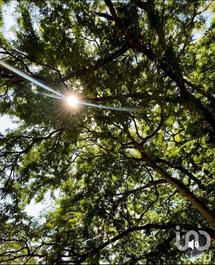 Terreno en Venta en Cholul, Mérida, Yucatán | NEX-291819 | iad México | Foto 9 de 20