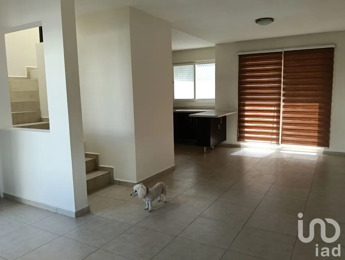 Casa en Renta en Paseos del Bosque, Corregidora, Querétaro | NEX-297690 | iad México | Foto 6 de 23
