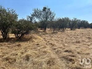 NEX-285270 - Terreno en Venta en San Bernardo, CP 47528, Jalisco.
