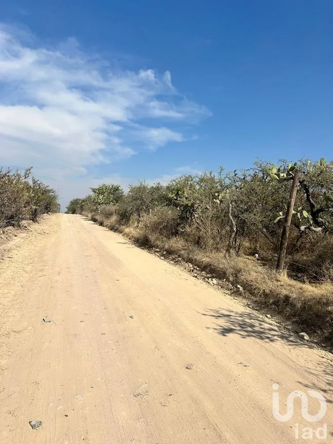 Terreno en Venta en Los Tepetates, Lagos de Moreno, Jalisco | NEX-285368 | iad México | Foto 4 de 5