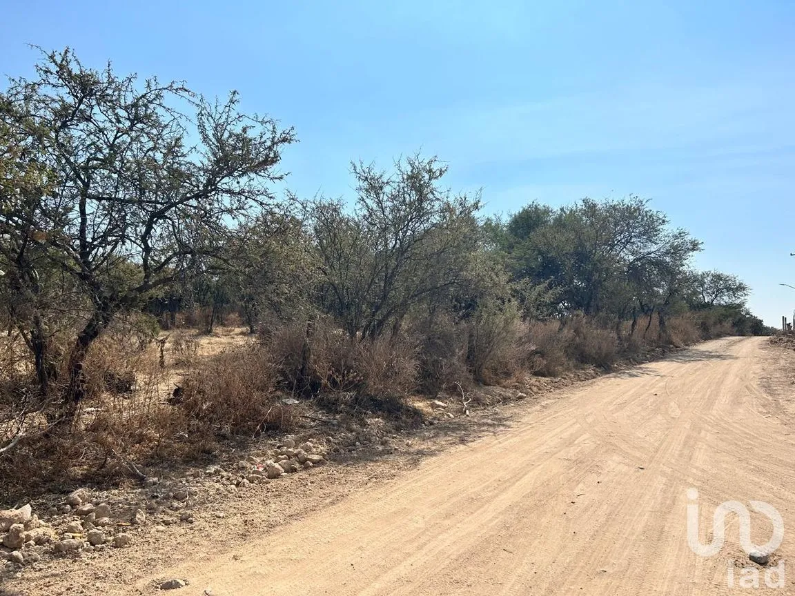 Terreno en Venta en Los Tepetates, Lagos de Moreno, Jalisco | NEX-285369 | iad México | Foto 3 de 5
