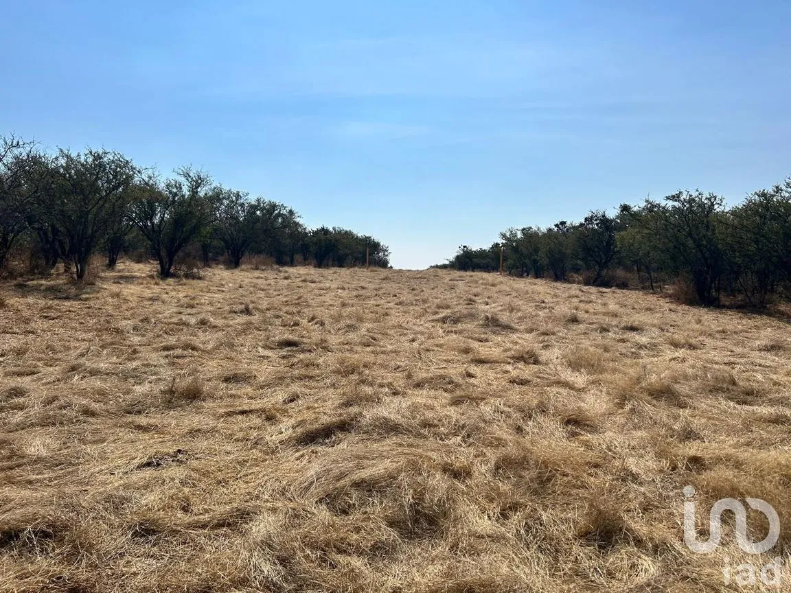 Terreno en Venta en Los Tepetates, Lagos de Moreno, Jalisco | NEX-285369 | iad México | Foto 4 de 5