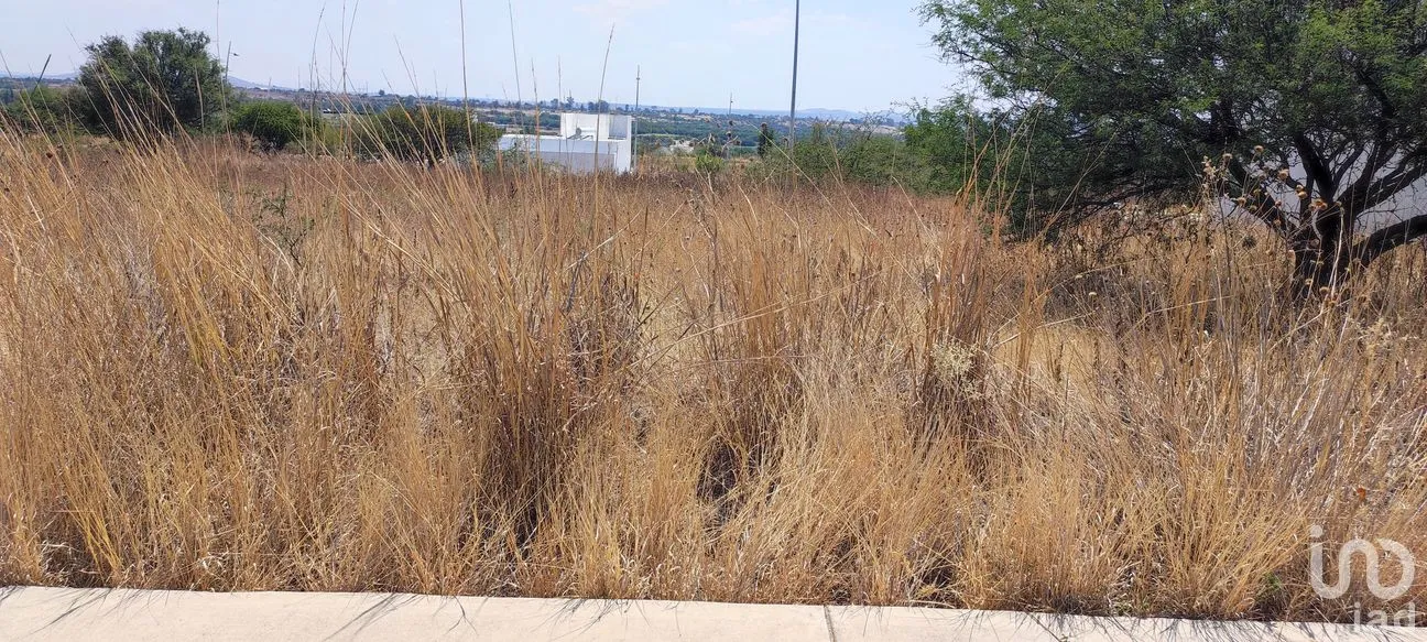 Terreno en Venta en El Encino, Huimilpan, Querétaro | NEX-291888 | iad México | Foto 3 de 6