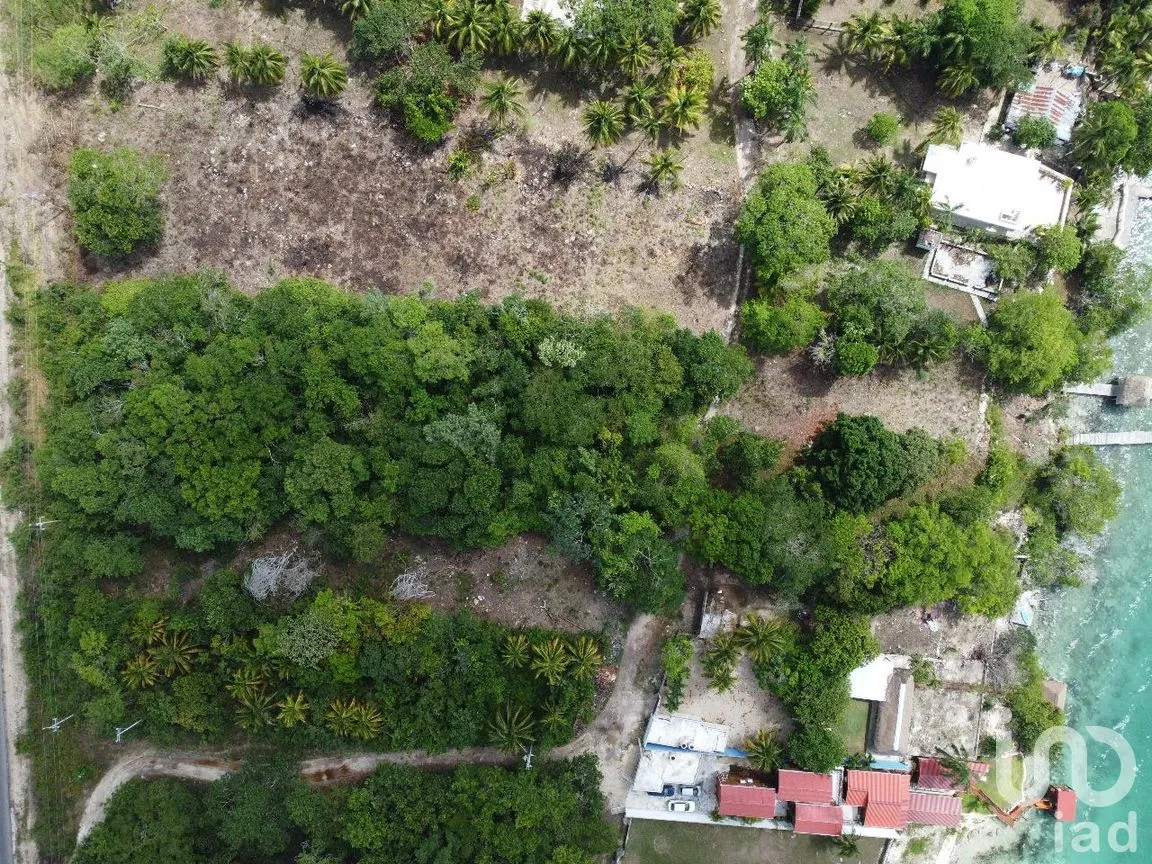 Terreno en Venta en Xtomoc, Bacalar, Quintana Roo | NEX-285759 | iad México | Foto 2 de 13
