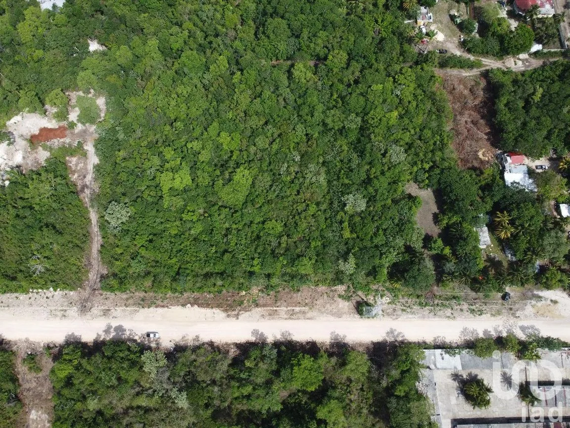 Terreno en Venta en Xtomoc, Bacalar, Quintana Roo | NEX-285759 | iad México | Foto 3 de 13