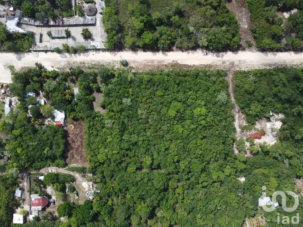 Terreno en Venta en Xtomoc, Bacalar, Quintana Roo | NEX-285759 | iad México | Foto 7 de 13