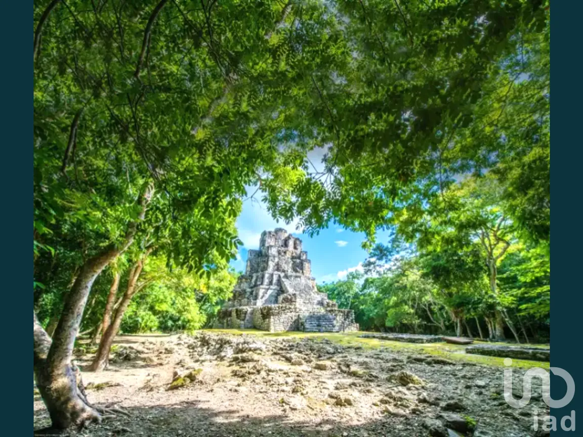 Terreno en Venta en Chunyaxché, Felipe Carrillo Puerto, Quintana Roo | NEX-286685 | iad México | Foto 2 de 18