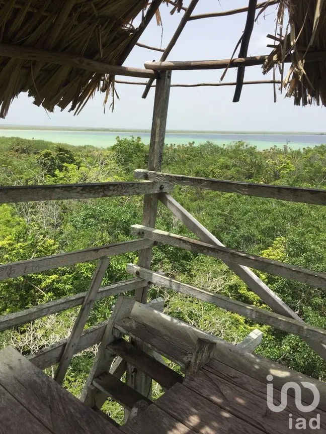 Terreno en Venta en Chunyaxché, Felipe Carrillo Puerto, Quintana Roo | NEX-286685 | iad México | Foto 11 de 18