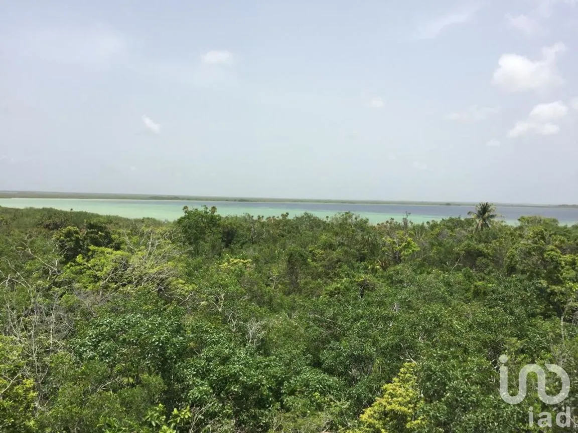 Terreno en Venta en Chunyaxché, Felipe Carrillo Puerto, Quintana Roo | NEX-286685 | iad México | Foto 12 de 18